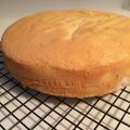 chicagoma's cooksnap of when they made ２２ｃｍ・スポンジケーキ.