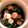 シーズー可愛い's cooksnap of when they made 菜の花と豚肉のおひたし.