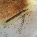 くなぎさとも's cooksnap of when they made 懐かしい味のホイルケーキ.