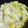 kkll0000's cooksnap of when they made 豚切り落としで白菜鍋.