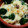 こころづくり's cooksnap of when they made 白菜と豚肉の和風グラタン.