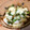dめぐb's cooksnap of when they made イカのマヨチーズ焼き.