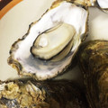 もも嬢♪'s cooksnap of when they made 家庭で簡単に殻付牡蠣を食べる方法！.