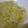 ソネチコ's cooksnap of when they made 柚子茶で！キャベツのマリネ.