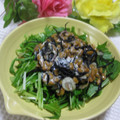 miyuki12's cooksnap of when they made ☆水菜とひじきのマヨおろし納豆サラダ☆.