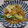 ゆうかりコアラ's cooksnap of when they made はくさいとだいこんのたまごとじ.