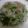 usagiinu's cooksnap of when they made かぶの葉とじゃこの炒飯.