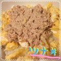 まゆちゃろ's cooksnap of when they made ツナマヨときゅうりの☆すし丼.