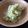 容疑者Ｘ's cooksnap of when they made アボカドの簡単ポテトサラダ♪.