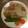 イヴォンヌスキー's cooksnap of when they made しょうがやき.