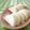赤い電話's cooksnap of when they made 即席漬け・大根の焼酎漬け.