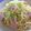 ちょこれーとなっつ's cooksnap of when they made キャベツとベーコンのパスタ★☆.