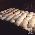 あいりんご♪'s cooksnap of when they made 簡単シンプルちぎりパン.