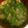 liutan's cooksnap of when they made ＊減塩＊ニラと揚げ玉の味噌汁＊.
