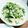 そんなあほな～～～～'s cooksnap of when they made 塩昆布とマヨネーズで♬お漬物風サラダ.
