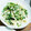そんなあほな～～～～'s cooksnap of when they made 塩昆布とマヨネーズで♬お漬物風サラダ.