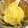 aych11's cooksnap of when they made 安納芋で栗きんとん★甘味料ナシ自然な甘さ.