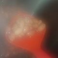 ASA2605's cooksnap of when they made 金時豆 煮豆 圧力鍋.