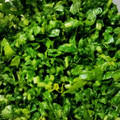 クック57VZDE☆'s cooksnap of when they made ☆節約☆大根の葉っぱの簡単お漬物☆.