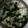 riosadesu's cooksnap of when they made 簡単☆はんぺんのサラダ.