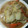 たかよ's cooksnap of when they made 白菜とアサリの簡単煮びたし。.