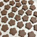 Curren＊'s cooksnap of when they made サクサクココアクッキー.