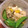 YuMy84's cooksnap of when they made 豚肉ともやしの香味炒め.