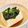 momosukekan's cooksnap of when they made たまにはこんな冷奴.