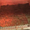 ChunChun☆≡'s cooksnap of when they made しけた海苔を10秒でパリパリにする方法.