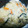 あーぼぅず's cooksnap of when they made 画期的★餅米〜ちまき風　中華おこわ.