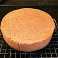 てぃちゃん0004's cooksnap of when they made チョコレートスポンジケーキ.