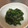 tomomani's cooksnap of when they made ✩ほうれん草の胡麻和え✩.
