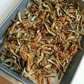 ちちちえりん's cooksnap of when they made 胡桃入り田作り.