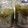 erichan074's cooksnap of when they made めちゃ簡単♪キウイジャム.