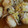 クックQNOM99☆'s cooksnap of when they made 簡単！ 白菜と お豆腐の団子の 和風煮♪.