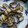 toujours＊'s cooksnap of when they made あさりの酒蒸し.