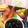 リクマサ's cooksnap of when they made うちの栗きんとん（おせち）♪.