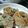 haru1217's cooksnap of when they made 離乳食☆簡単おやき.