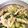 クック0RQQ00☆'s cooksnap of when they made おつまみ！きゅうりと鶏ささみピリ辛風和え.