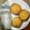 海 砂's cooksnap of when they made オレンジFAN♪FUN♪MUFFIN.