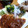 リンタロウママ's cooksnap of when they made 新玉ねぎとわかめのあっさりサラダ.