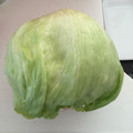 クックはなん☆'s cooksnap of when they made レタスの保存方法＊.
