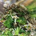 ちま46's cooksnap of when they made わさび菜のふりかけ.