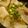 yamame6jp's cooksnap of when they made トロロ昆布で昆布〆.