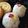 ＊nounours＊'s cooksnap of when they made 逸品おせち◇菊花かぶ◇飾り切り◇正月.
