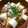 まゆたいせい's cooksnap of when they made 心も体もほっとするすまし汁.