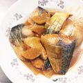 岐阜のほりっこ's cooksnap of when they made さばの味噌煮.
