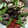 くまです。's cooksnap of when they made 煮しめ.
