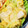 桃さる's cooksnap of when they made 白菜の、つゆマヨあえ.