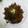 ピーナッツ子♪'s cooksnap of when they made 牛肉とごぼうのしぐれ煮風♥.